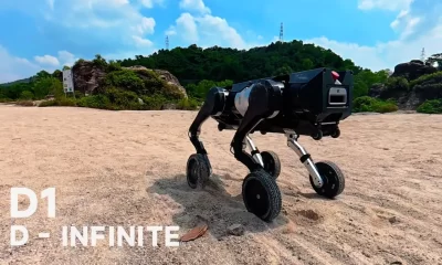 D1 D infinite worlds first fully modular embodied intelligent robot